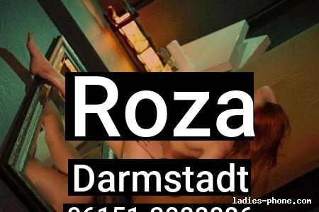 Roza aus Darmstadt