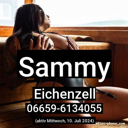 Sammy aus Eichenzell