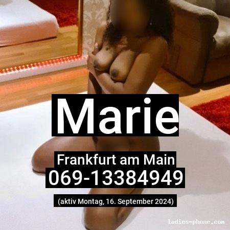 Marie aus Frankfurt am Main