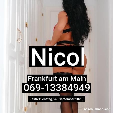 Nicol aus Frankfurt am Main