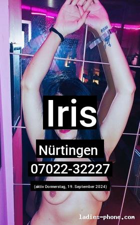 Iris aus Nürtingen